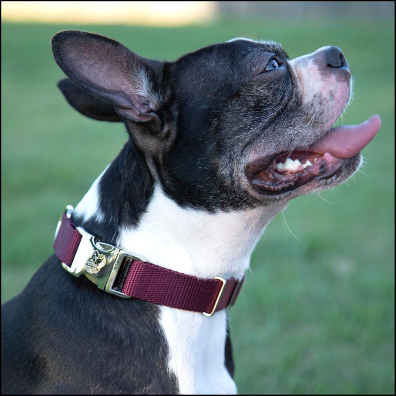 Country Brook Design Country Brook Petz - Premium Nylon Dog Collar with Metal Buckle for Small Medium Large Breeds - 10+ Warm Colors (Large, 1 Inch Wide, Burgundy) - Image 3